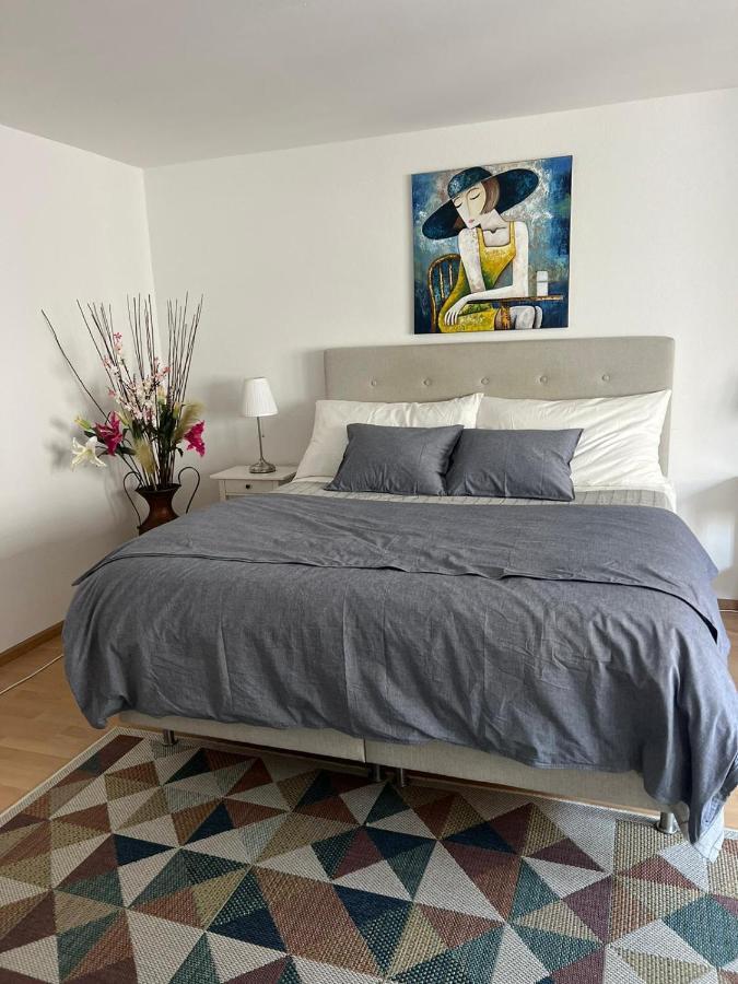 Schweiz Appartement